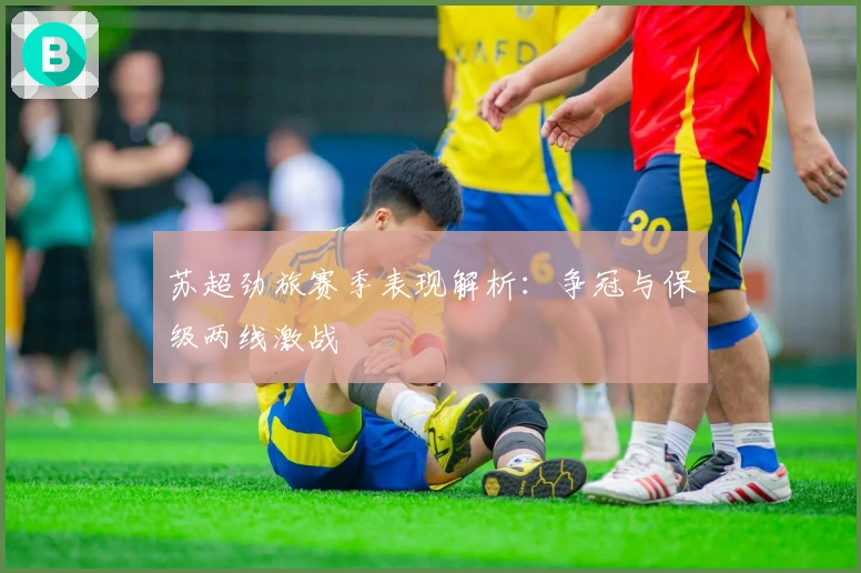 苏超劲旅赛季表现解析：争冠与保级两线激战
